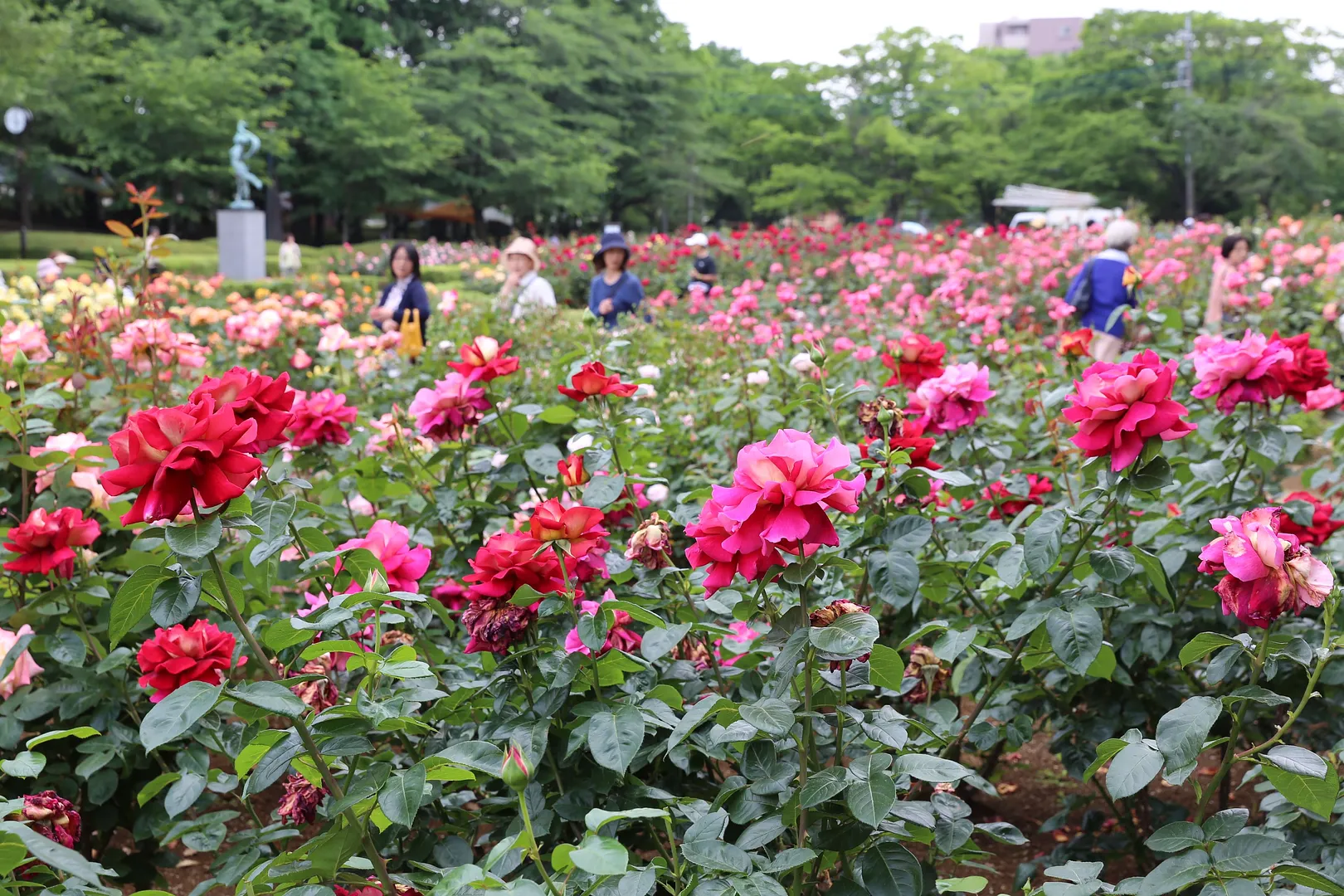 与野公園