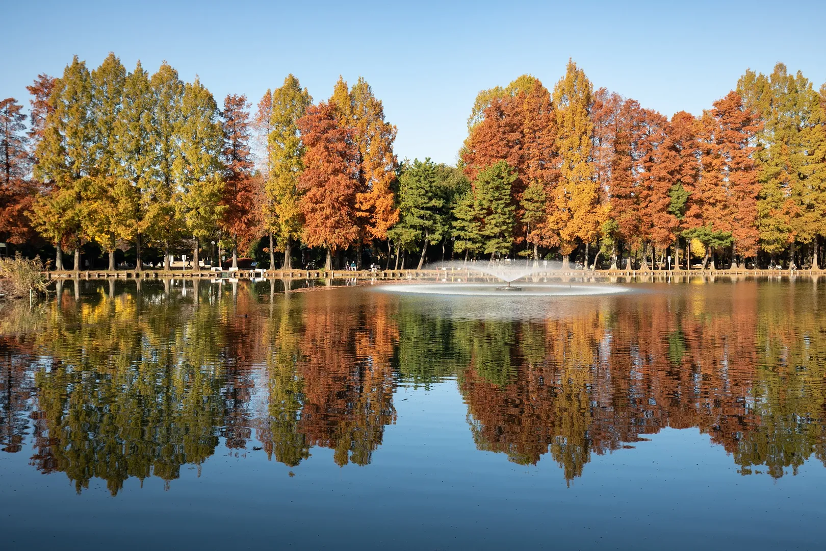 別所沼公園