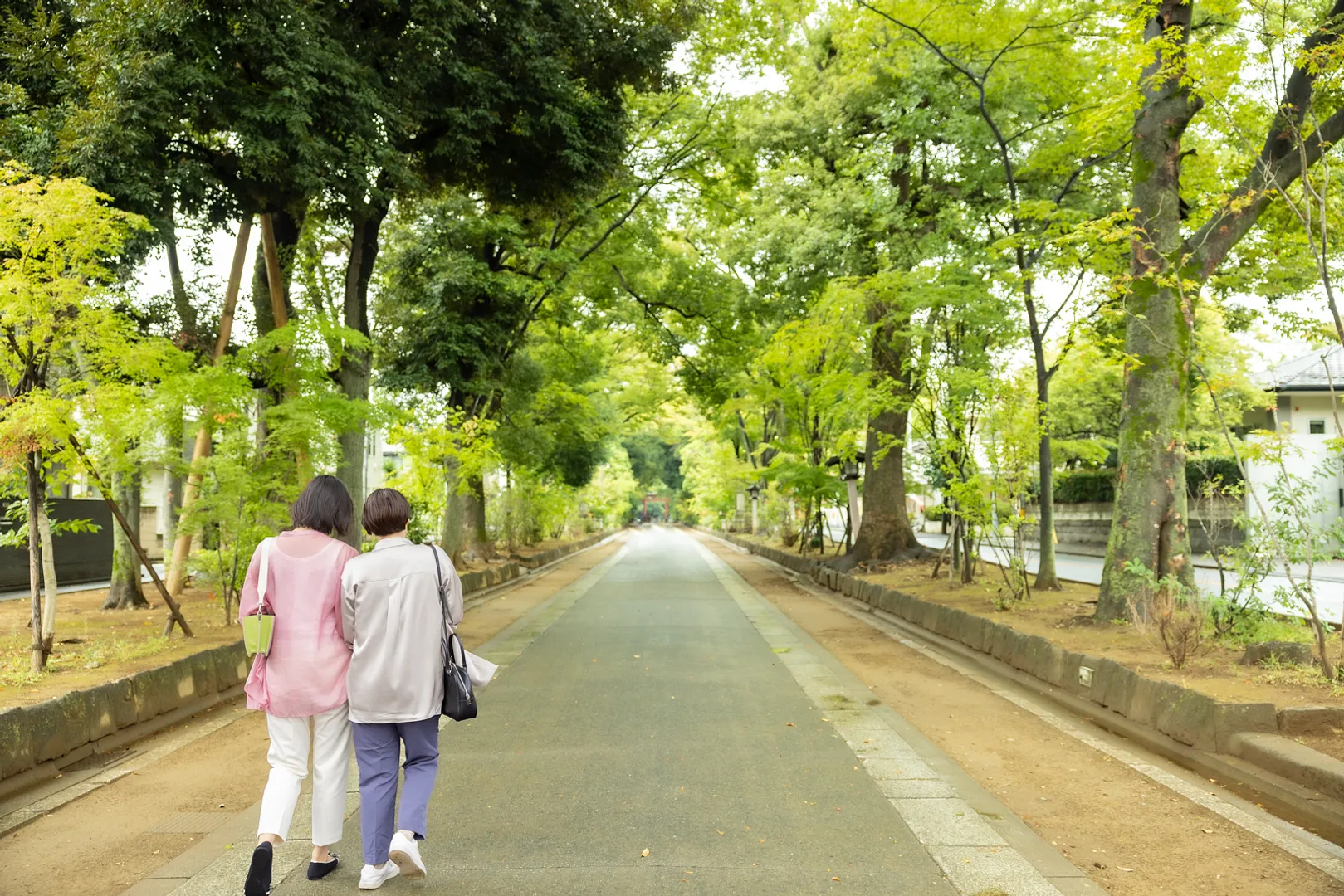 氷川参道を歩く