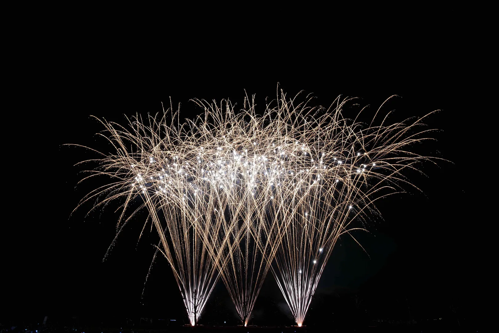 さいたま市花火大会東浦和大間木公園会場2