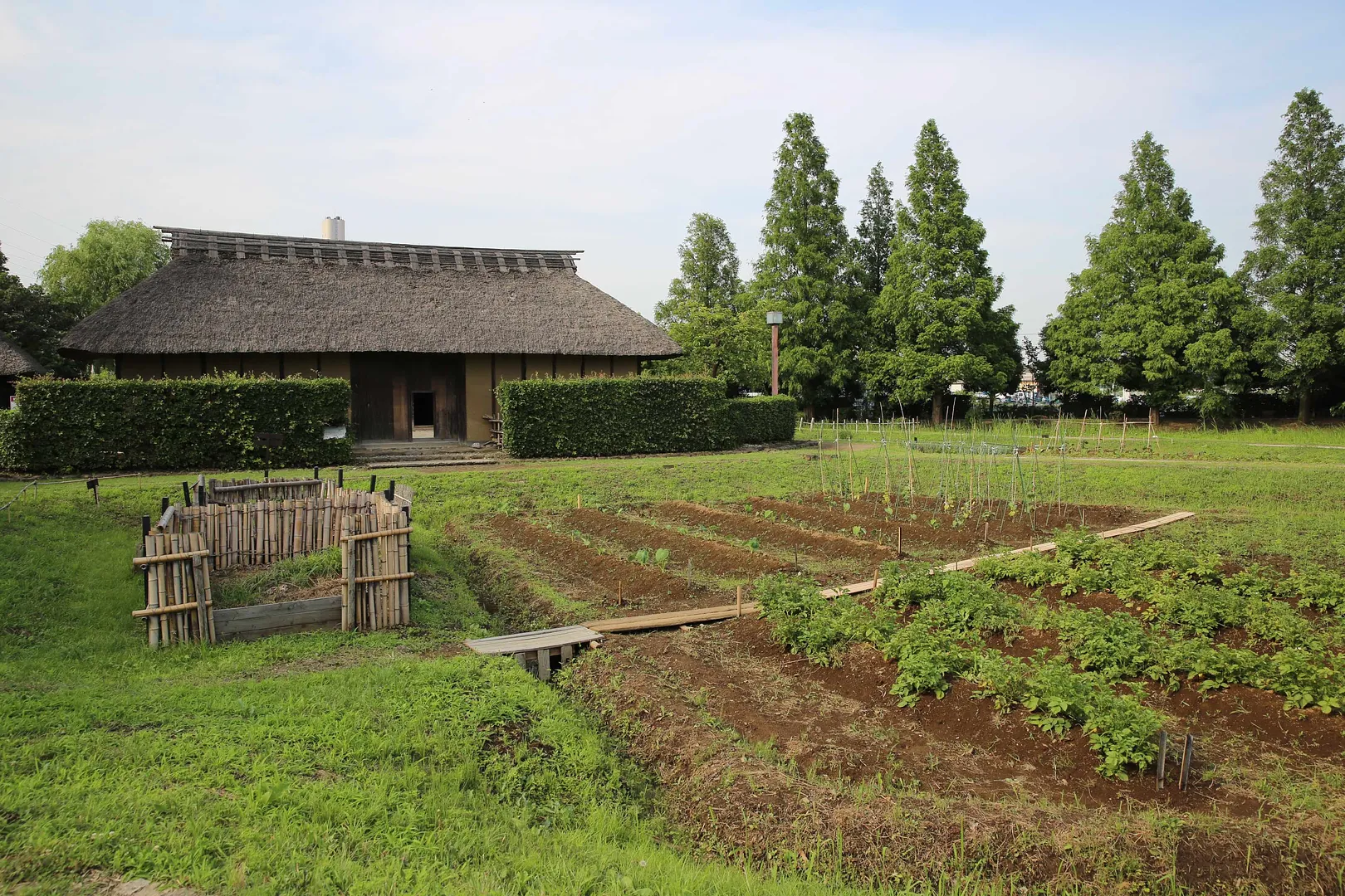 浦和くらしの博物館民家園5