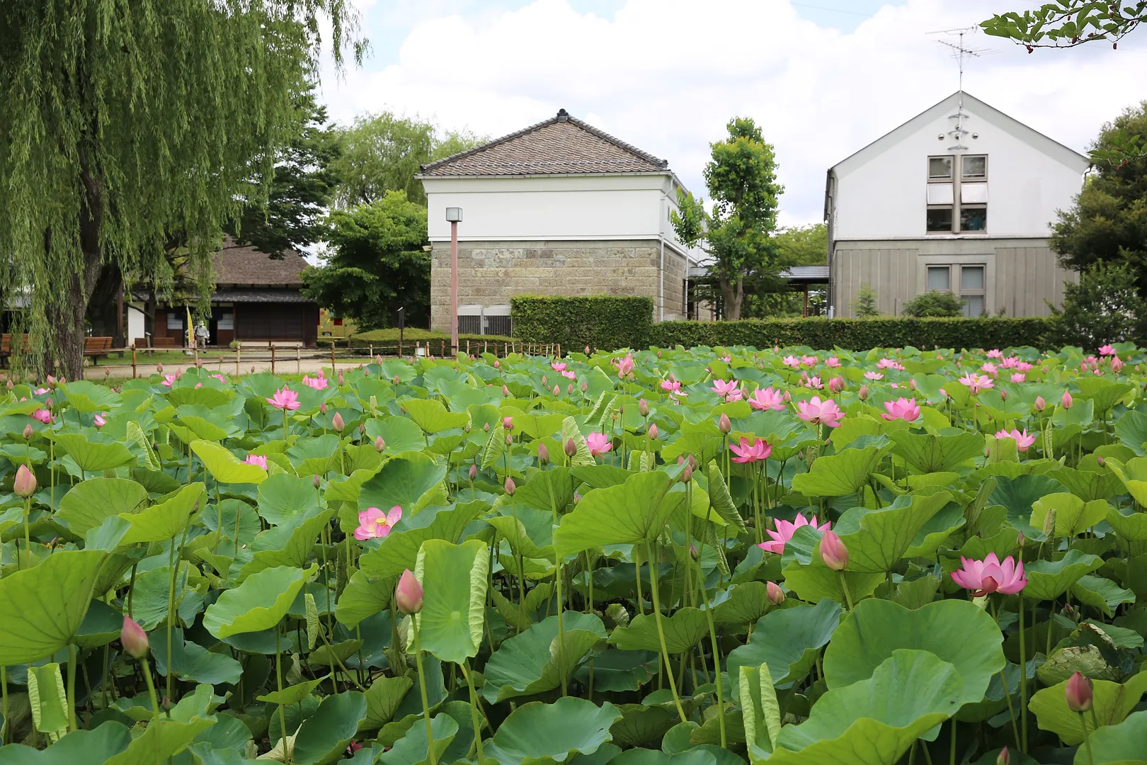 浦和くらしの博物館民家園6