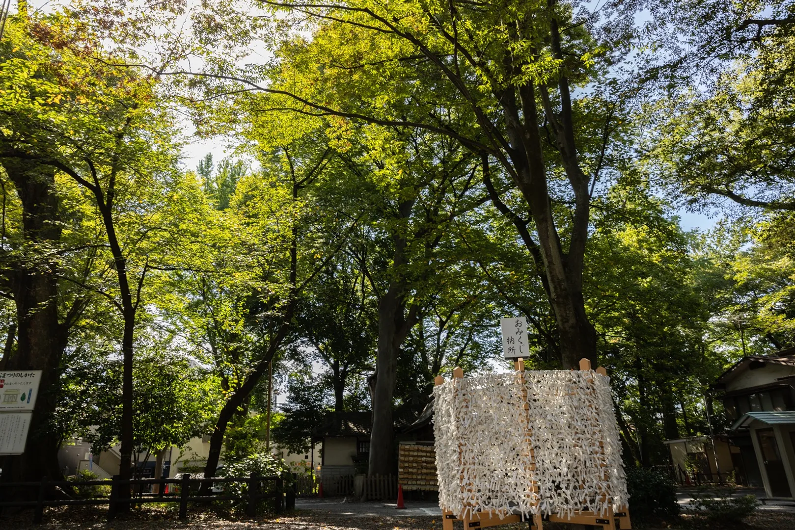 調神社8