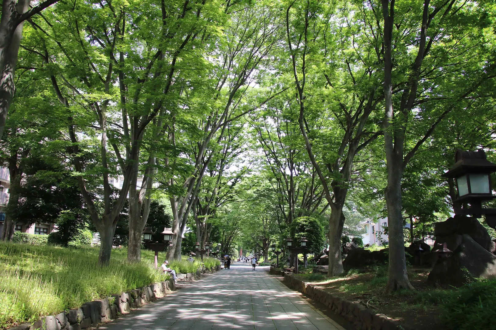 氷川参道・平成ひろば1