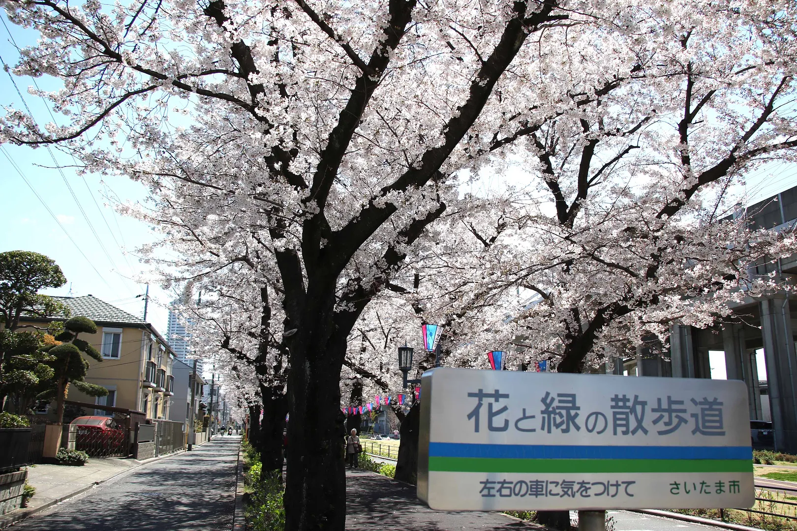 花と緑の散歩道2