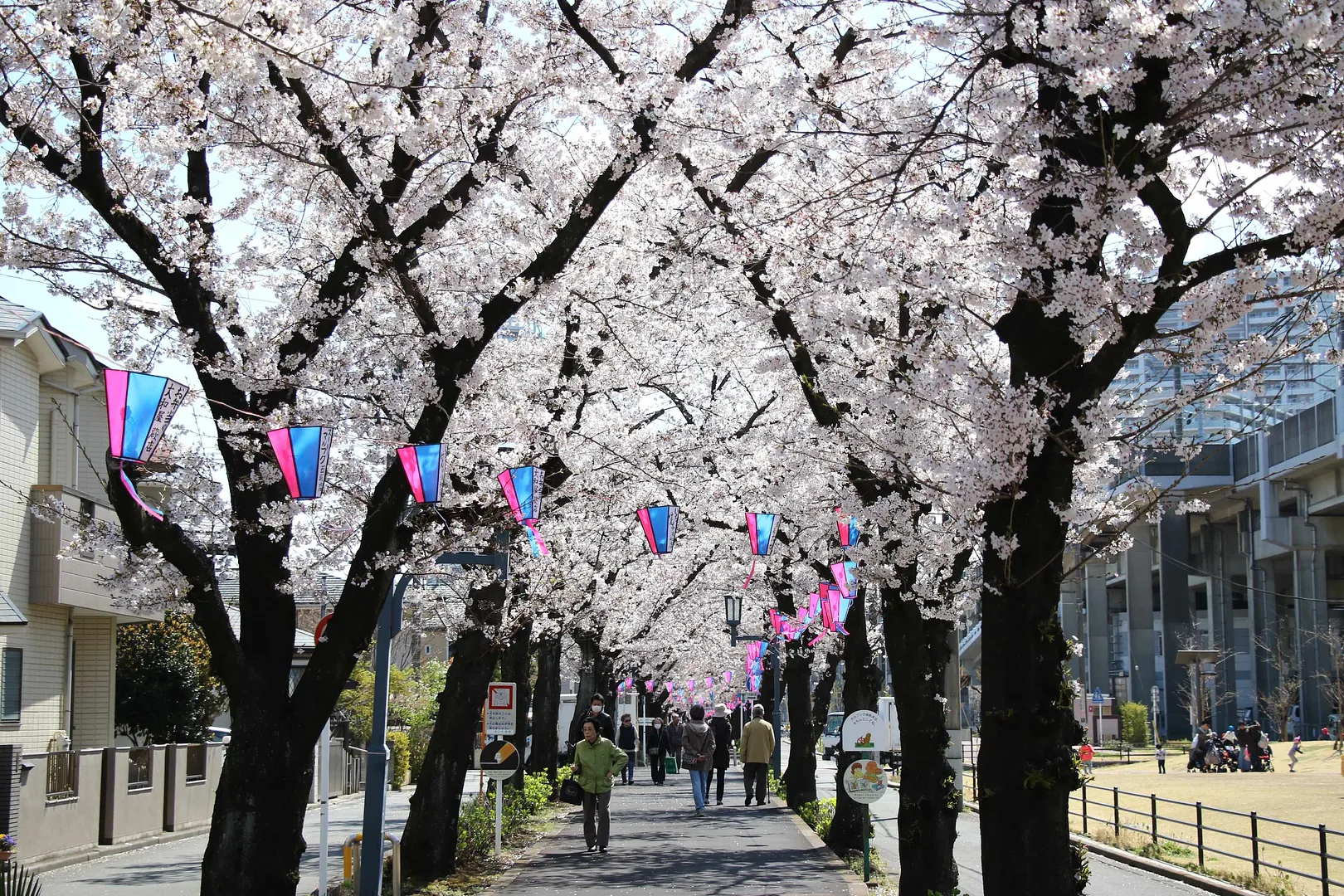 花と緑の散歩道3