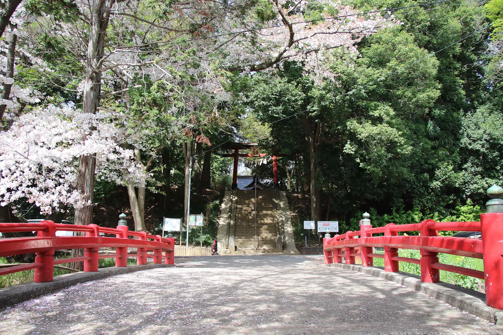 氷川女體神社3