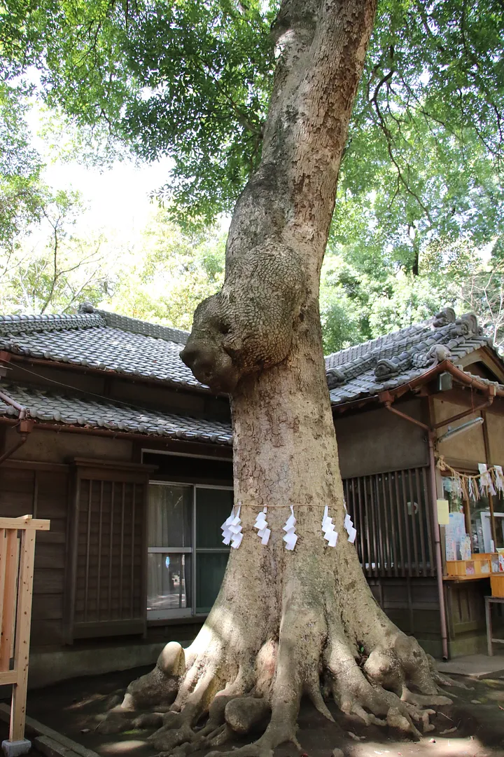 氷川女體神社5