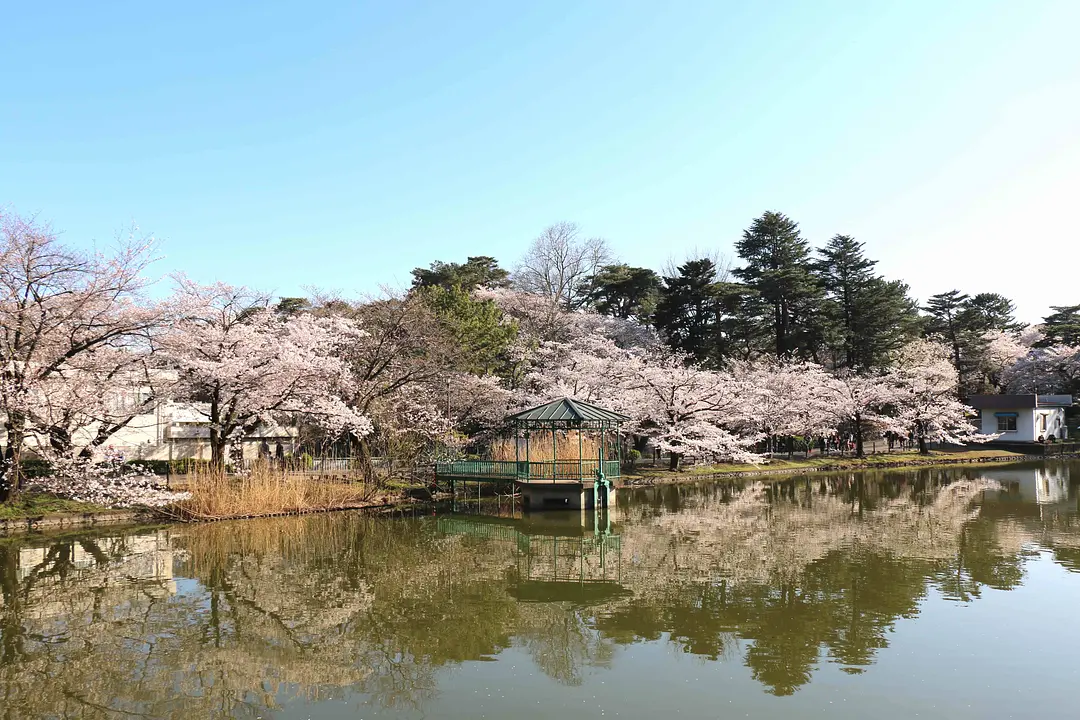 大宮公園