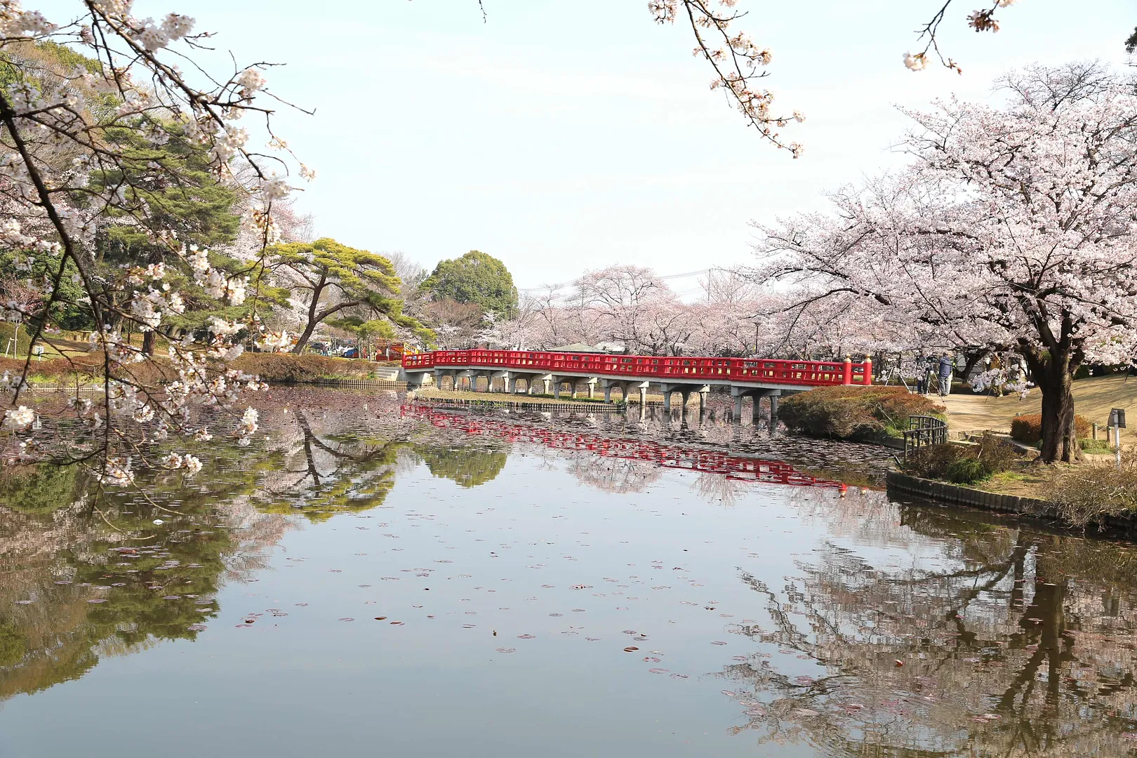 岩槻城址公園 | スポット一覧 | VISIT SAITAMA CITY