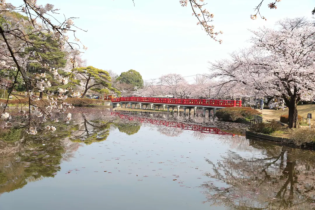 岩槻城址公園1