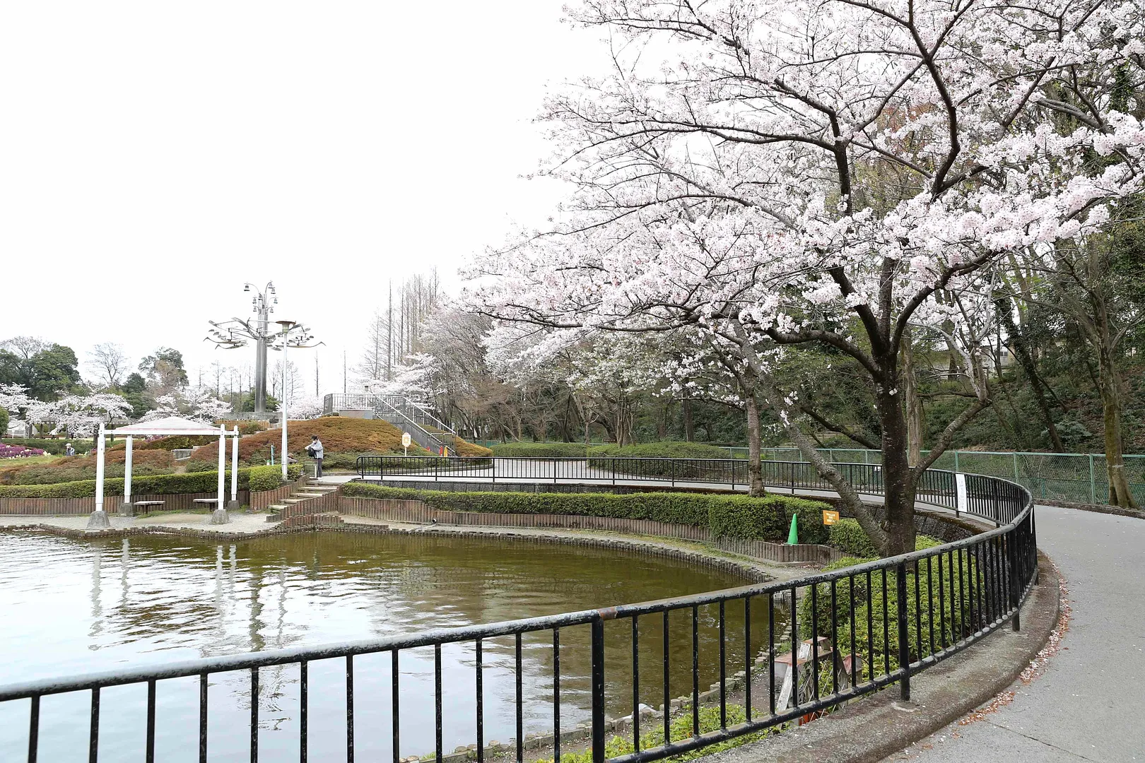 さぎ山記念公園2