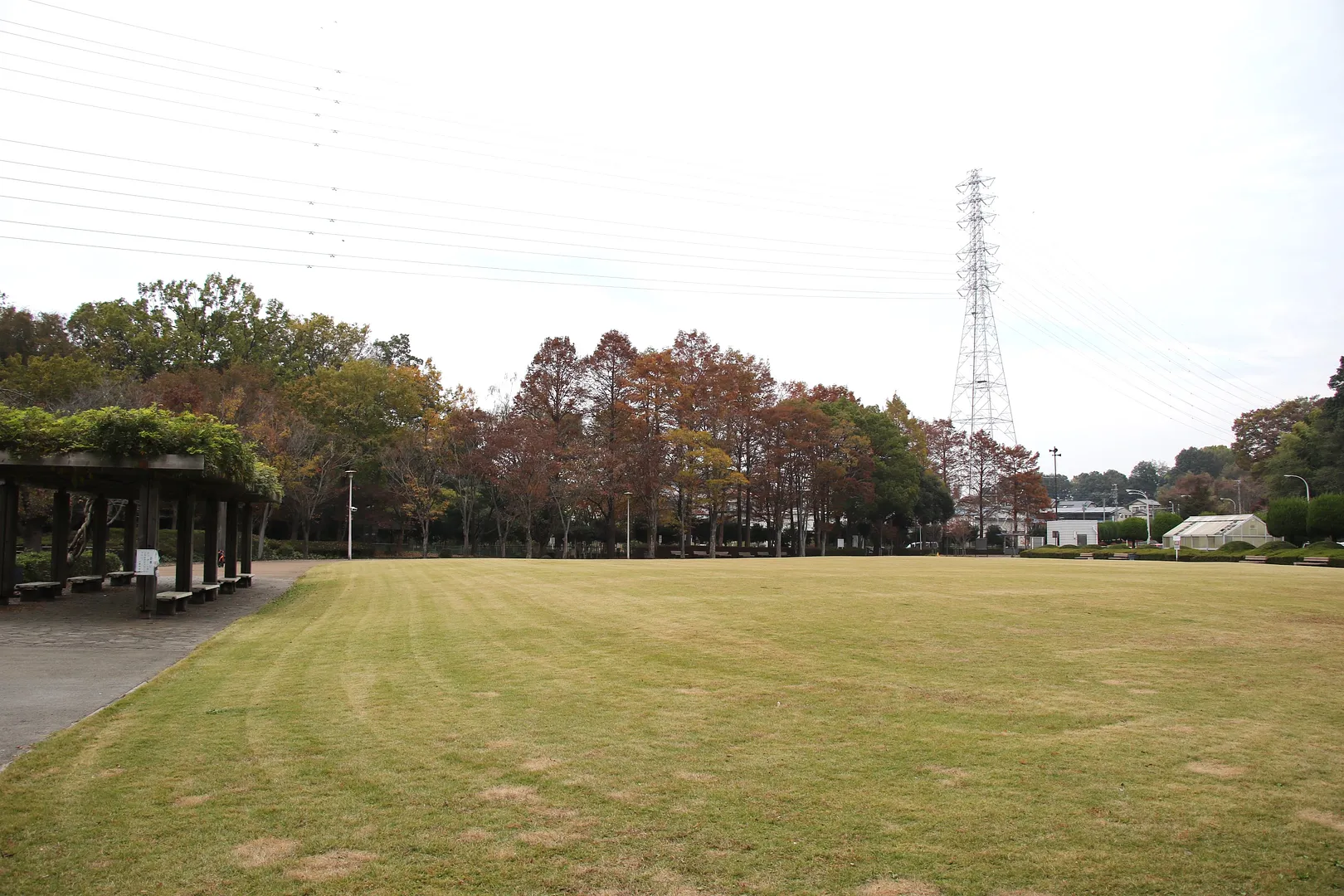 さぎ山記念公園4