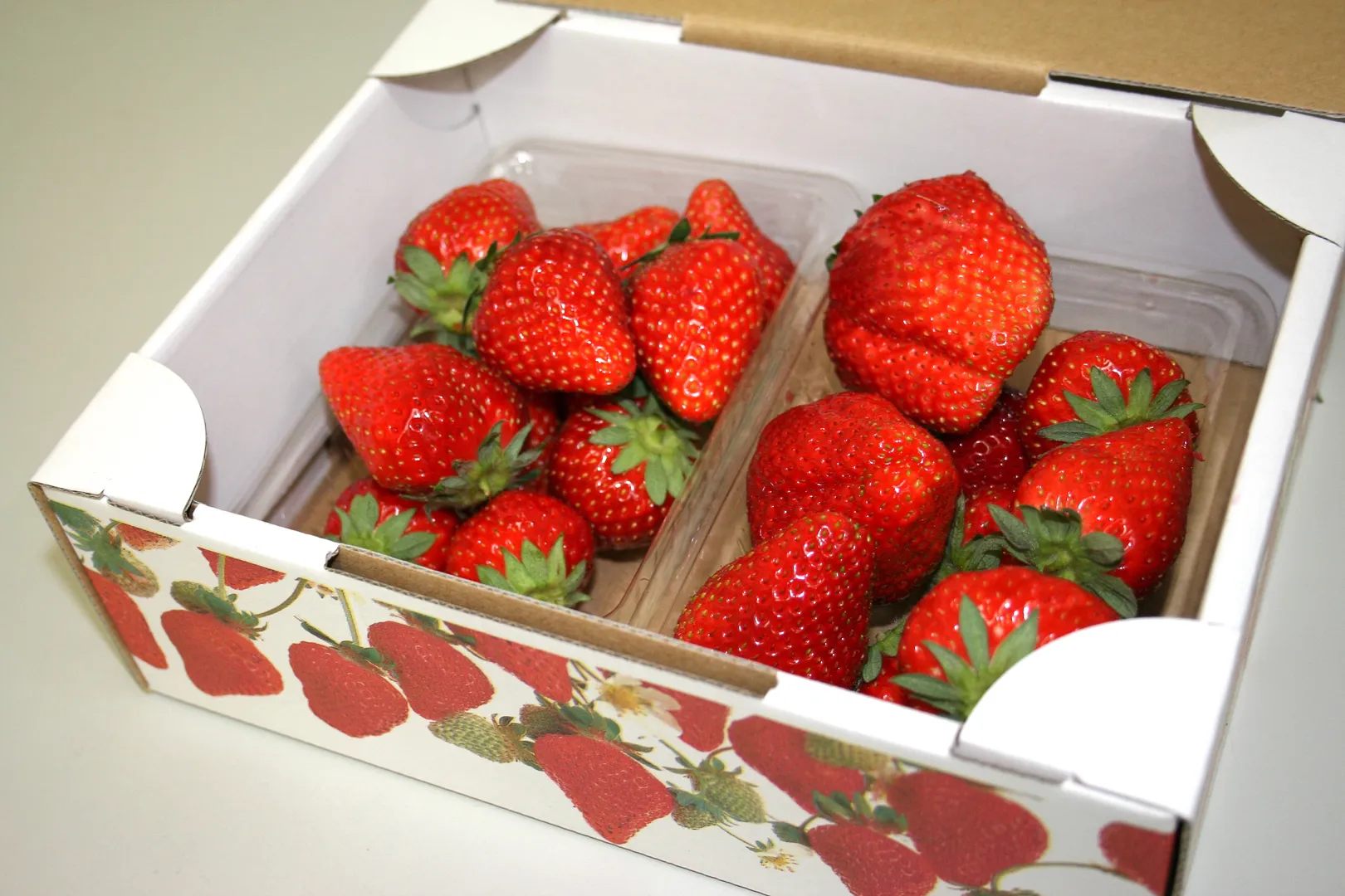 岩槻いちご狩り観光農園 | スポット一覧 | VISIT SAITAMA CITY