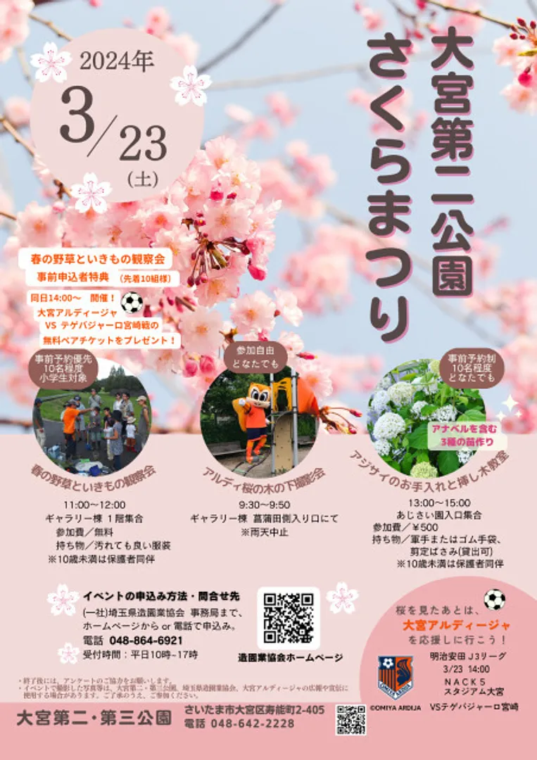大宮第二公園さくらまつり