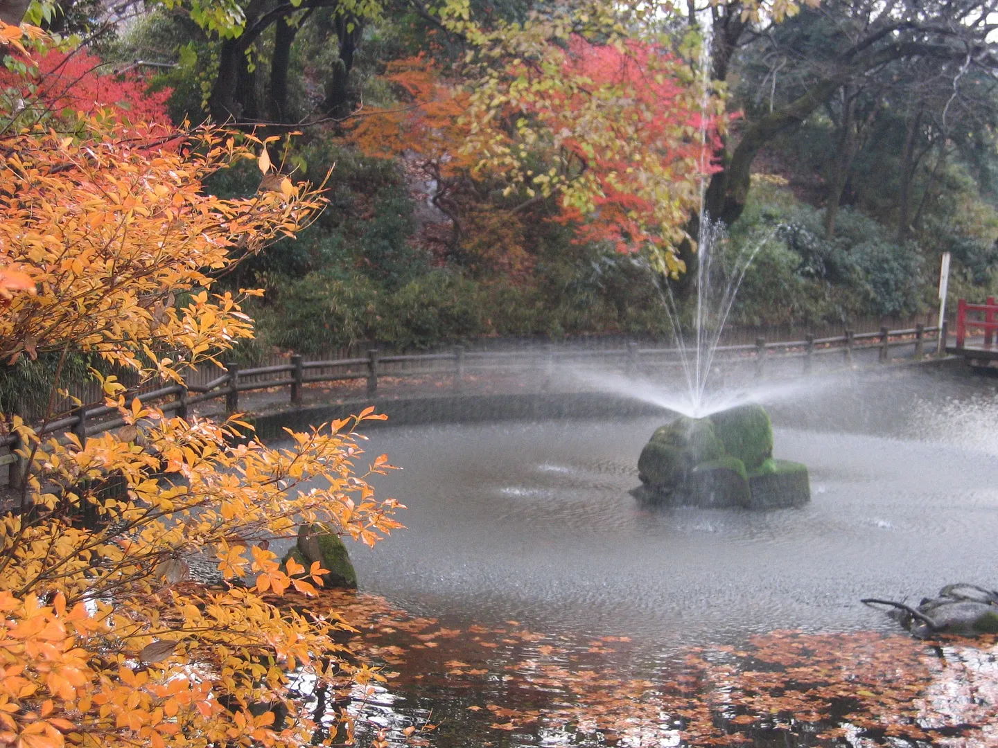 与野公園5