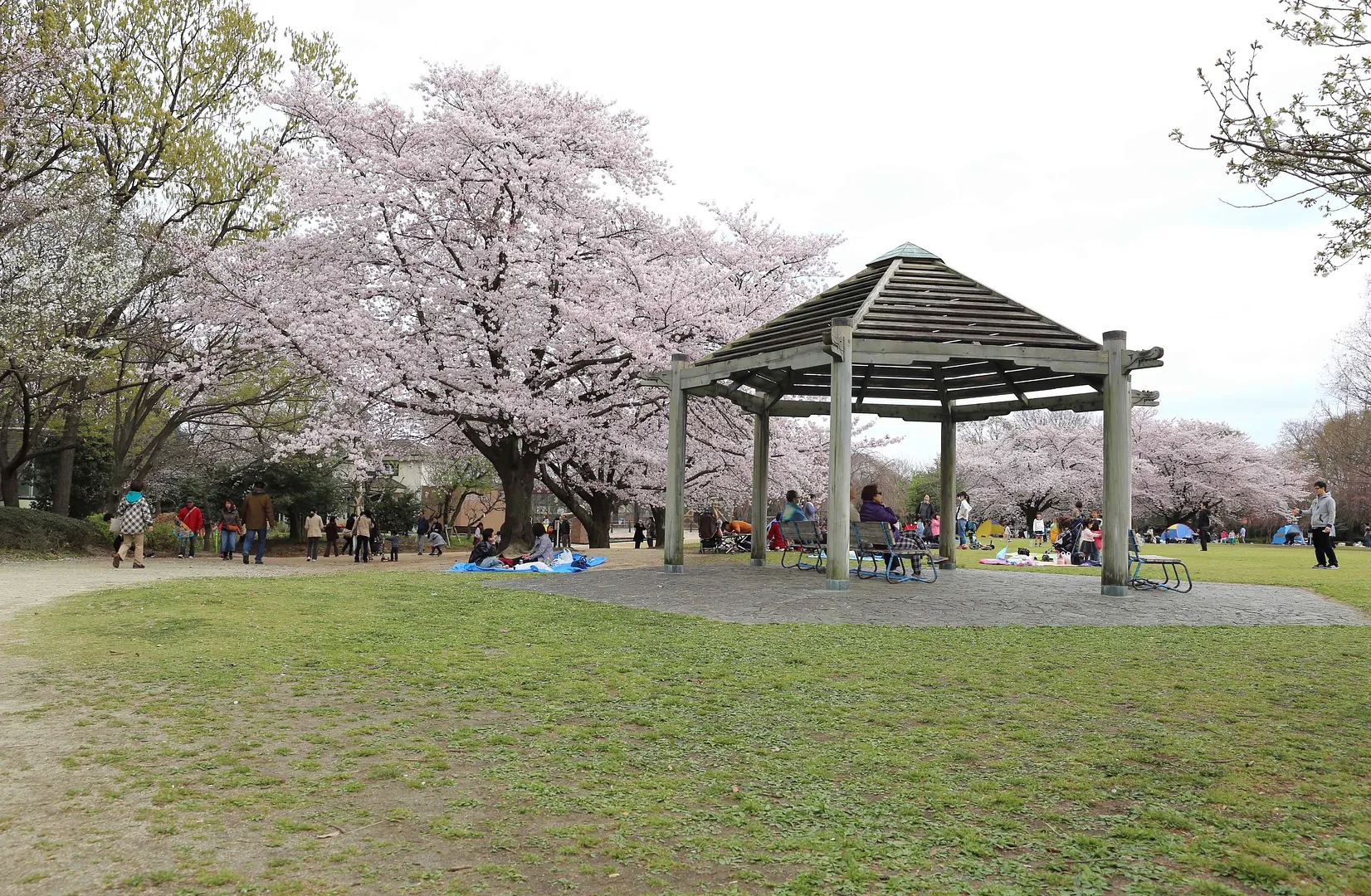 市民の森・見沼グリーンセンター1