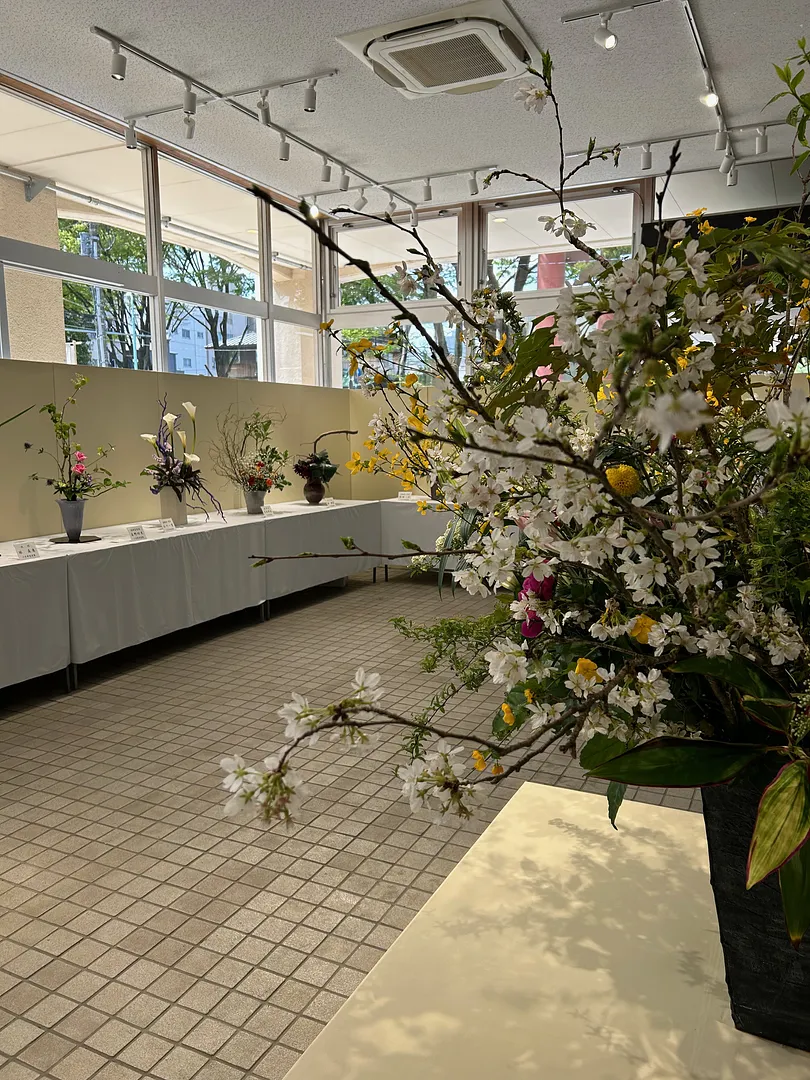 IMG_3773.jpeg