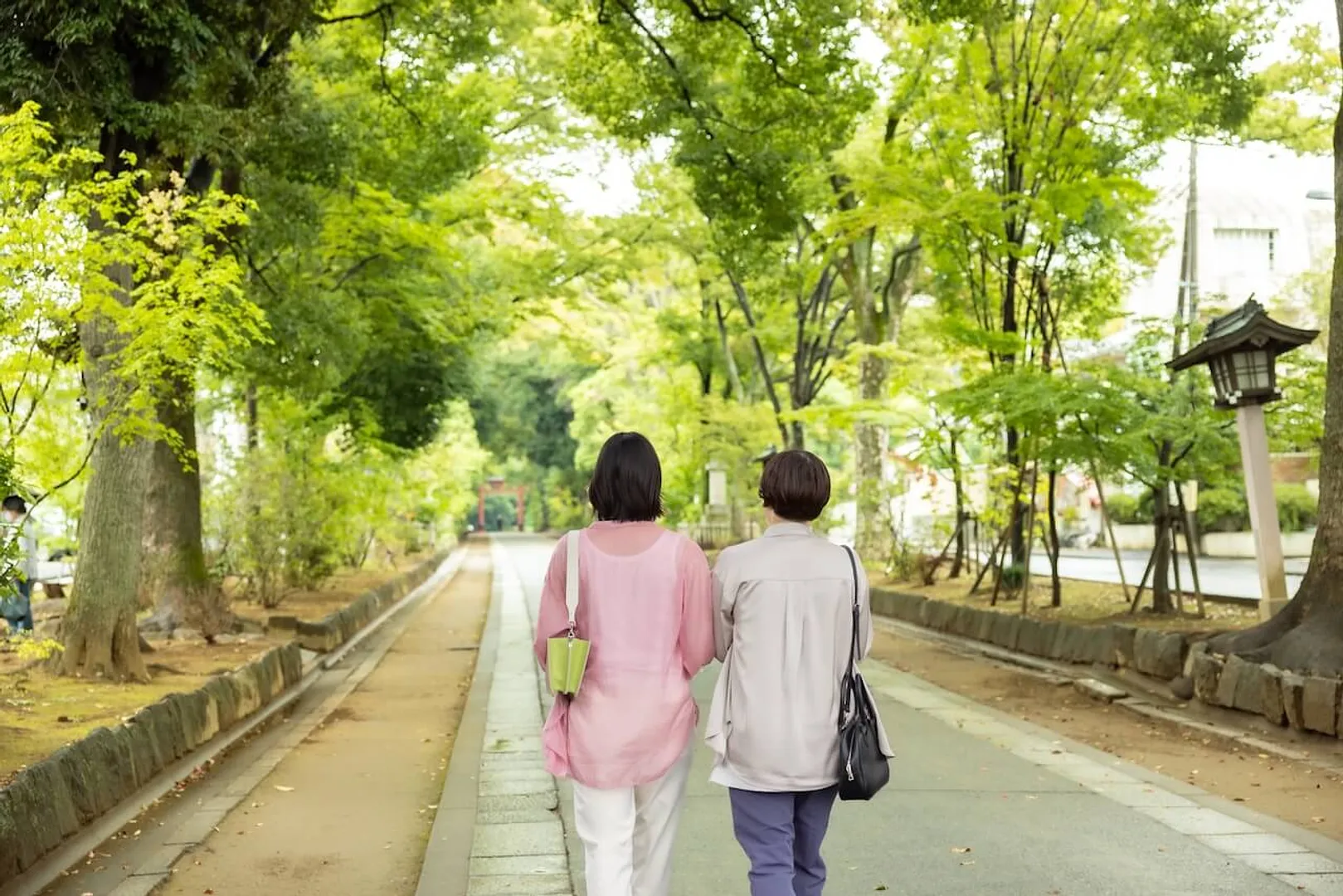 氷川参道