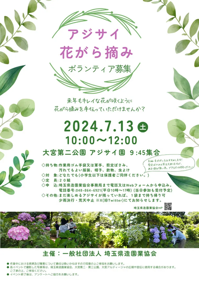 大宮第二公園 アジサイの花がら摘み