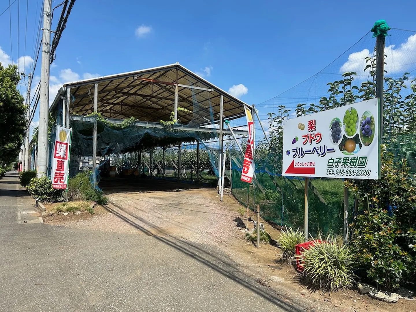 白子果樹園 外観