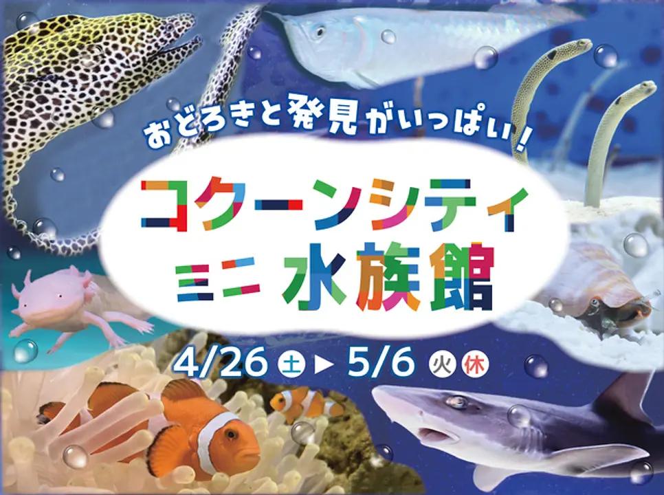 おどろきと発見がいっぱい！コクーンシティ ミニ水族館