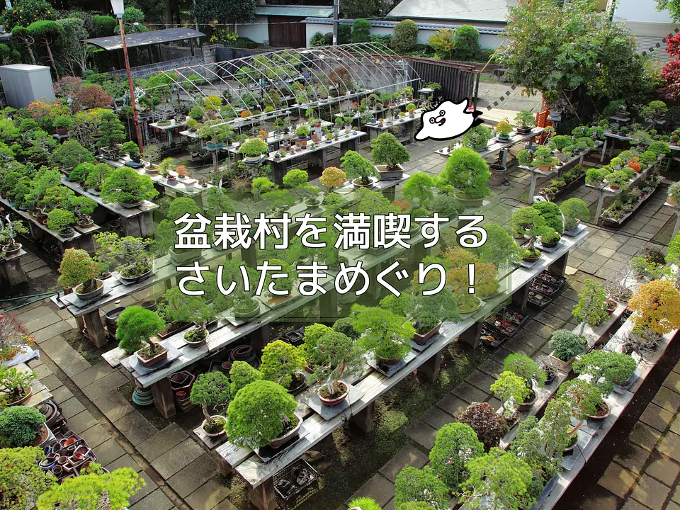 盆栽園