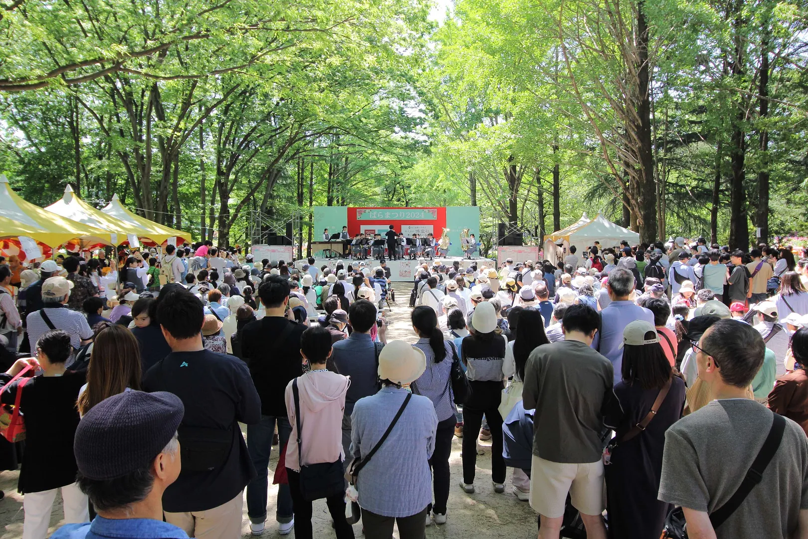 与野公園_ステージ