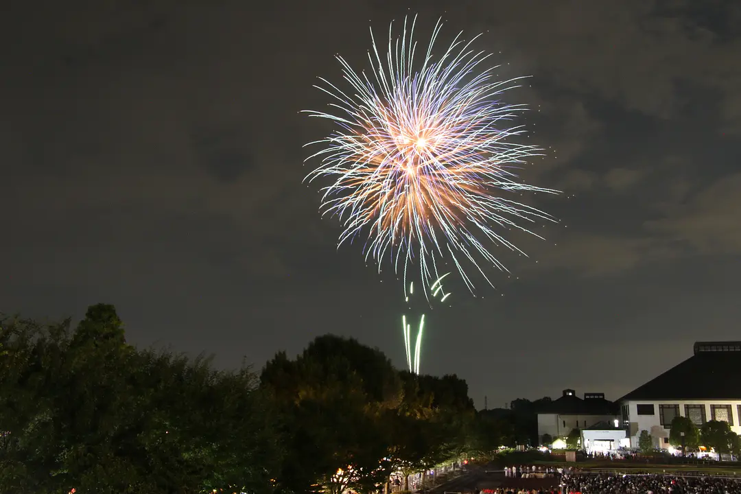 花火大会(岩槻文化公園)-1