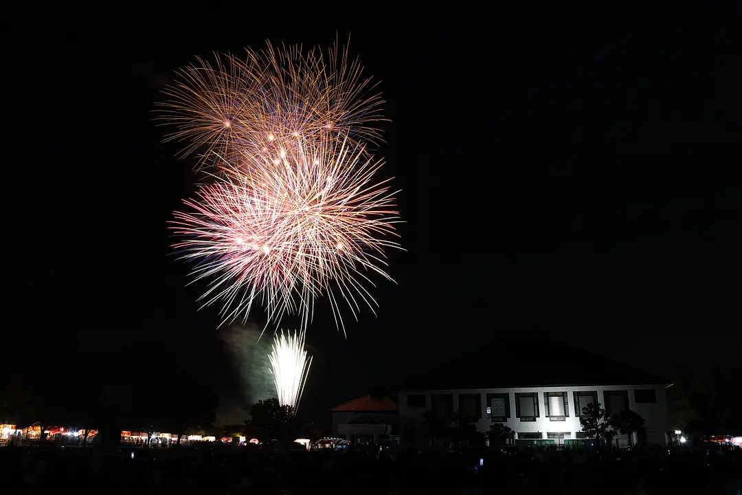 花火大会(岩槻文化公園)-2