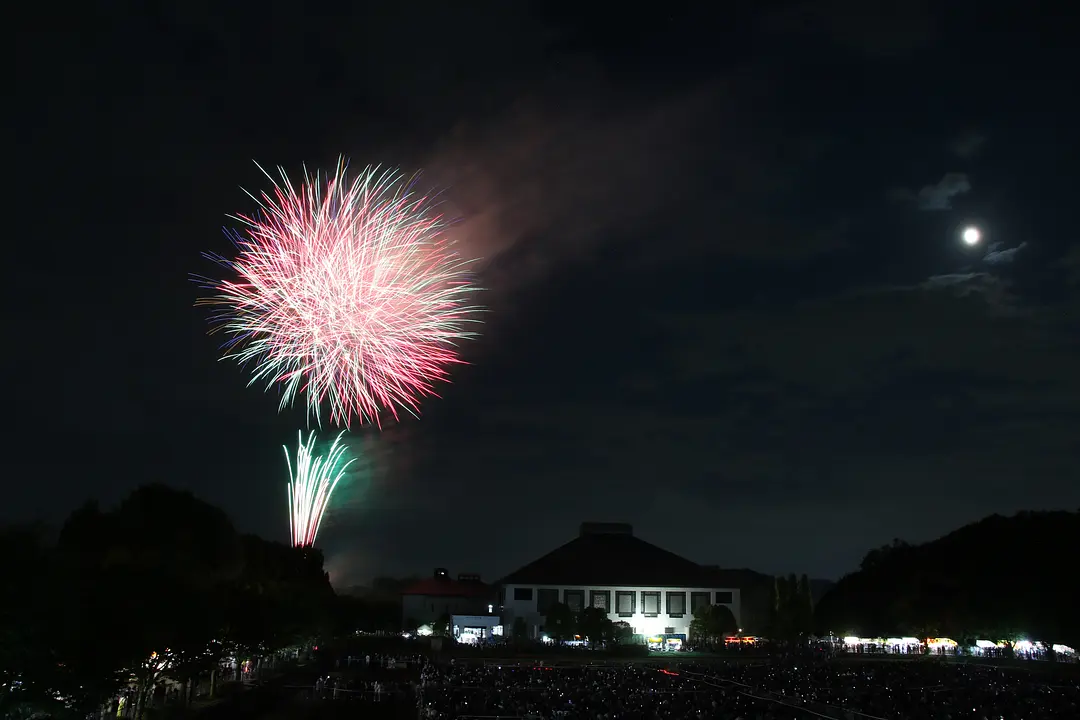 花火大会(岩槻文化公園)-3