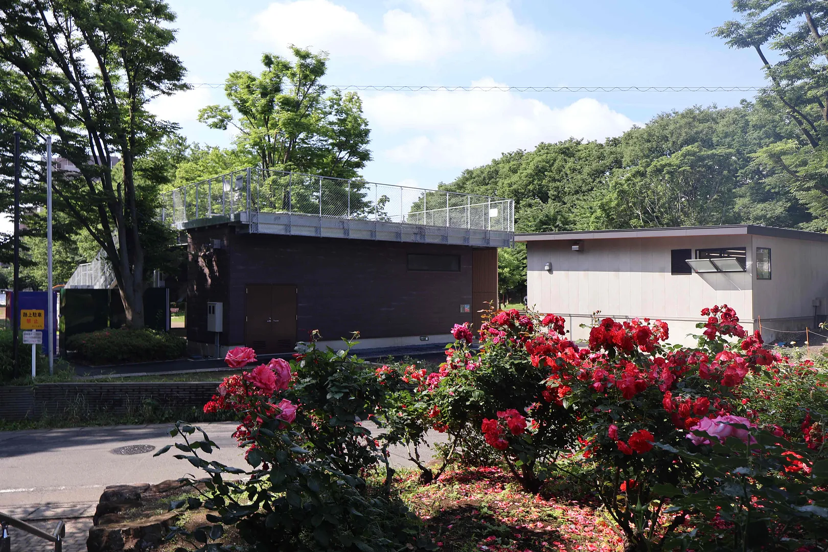 与野公園7