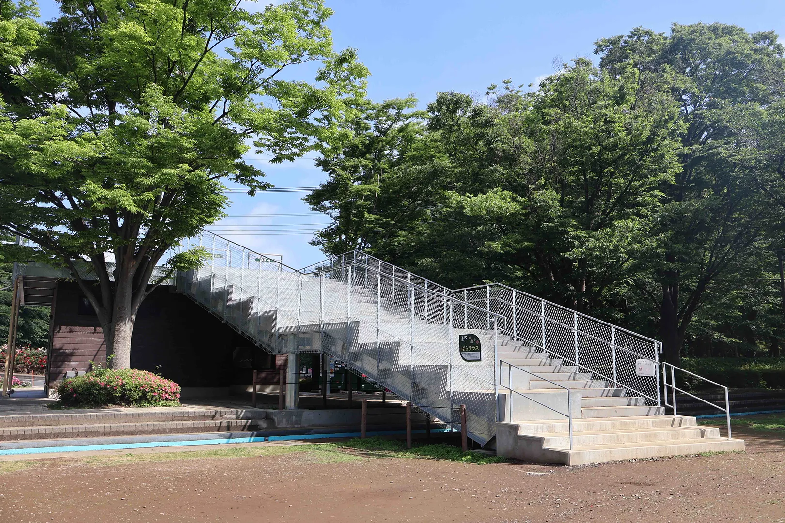 与野公園8