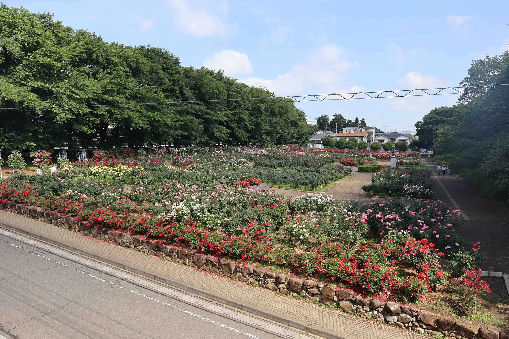 与野公園9