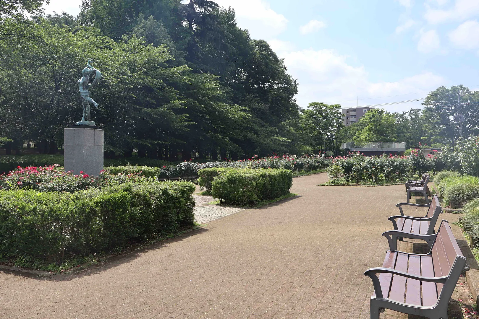 与野公園10