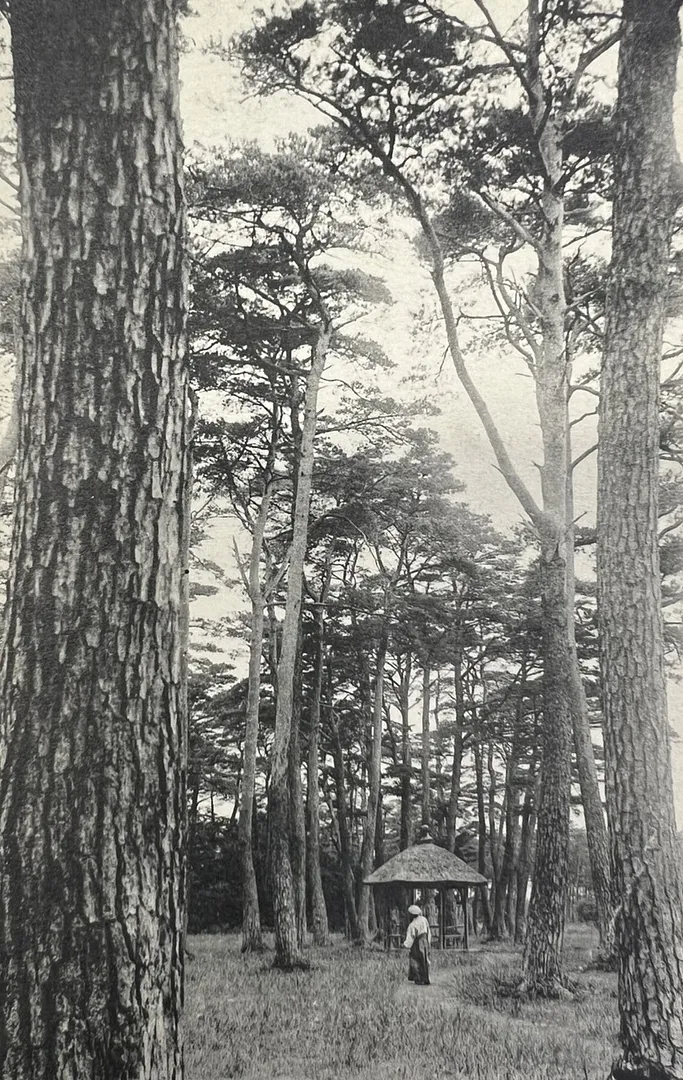 明治時代後期の大宮公園