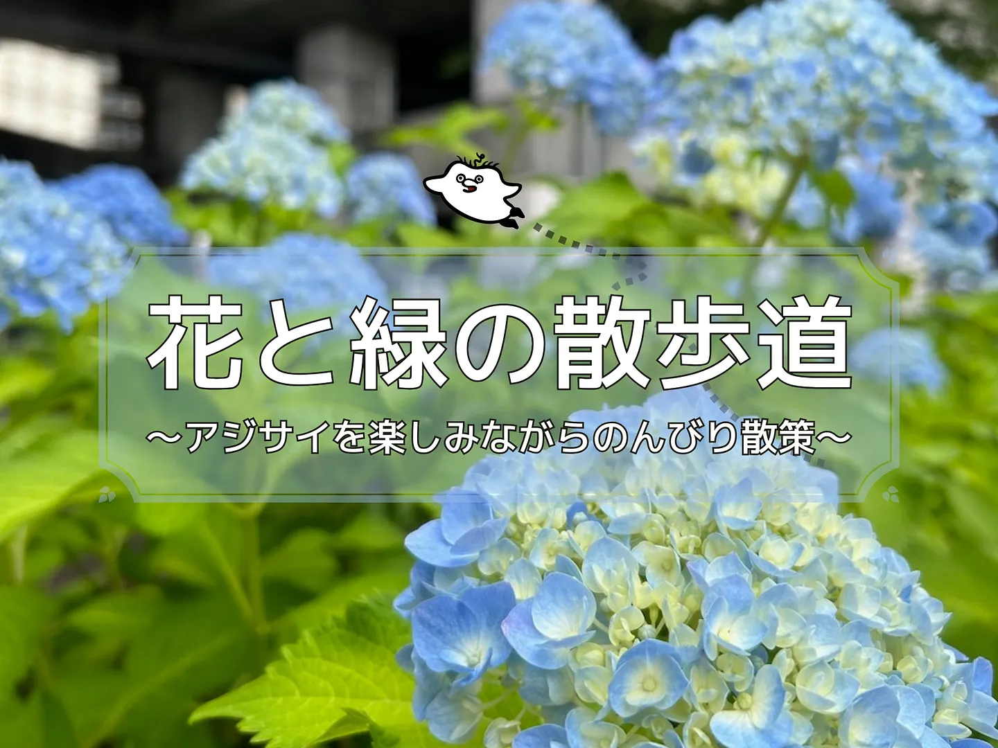 花と緑の散歩道_アジサイ