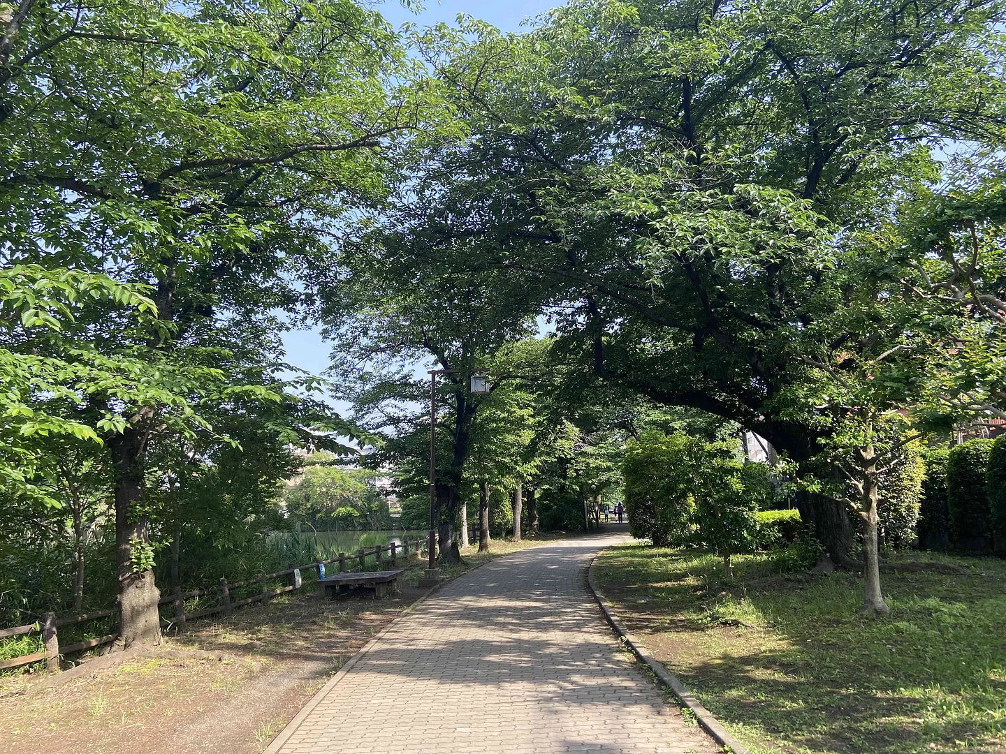 白幡緑道