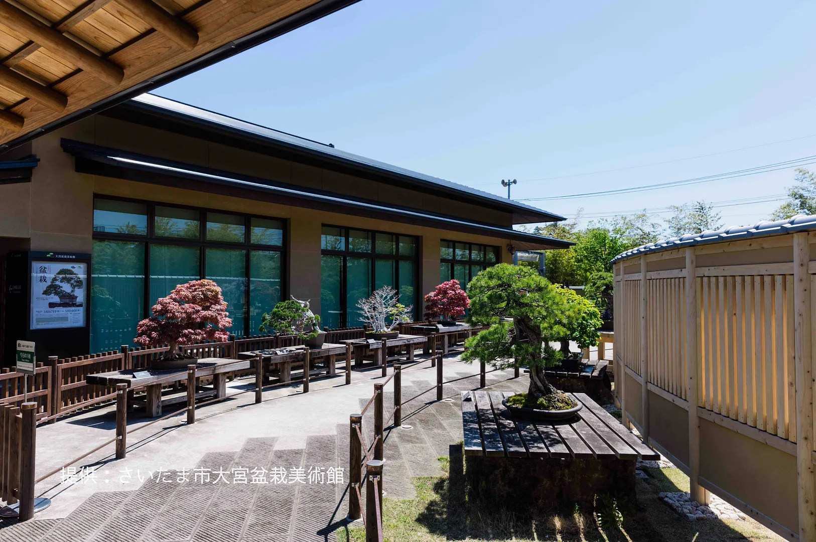 omiyabonsaiartmuseum_3.png