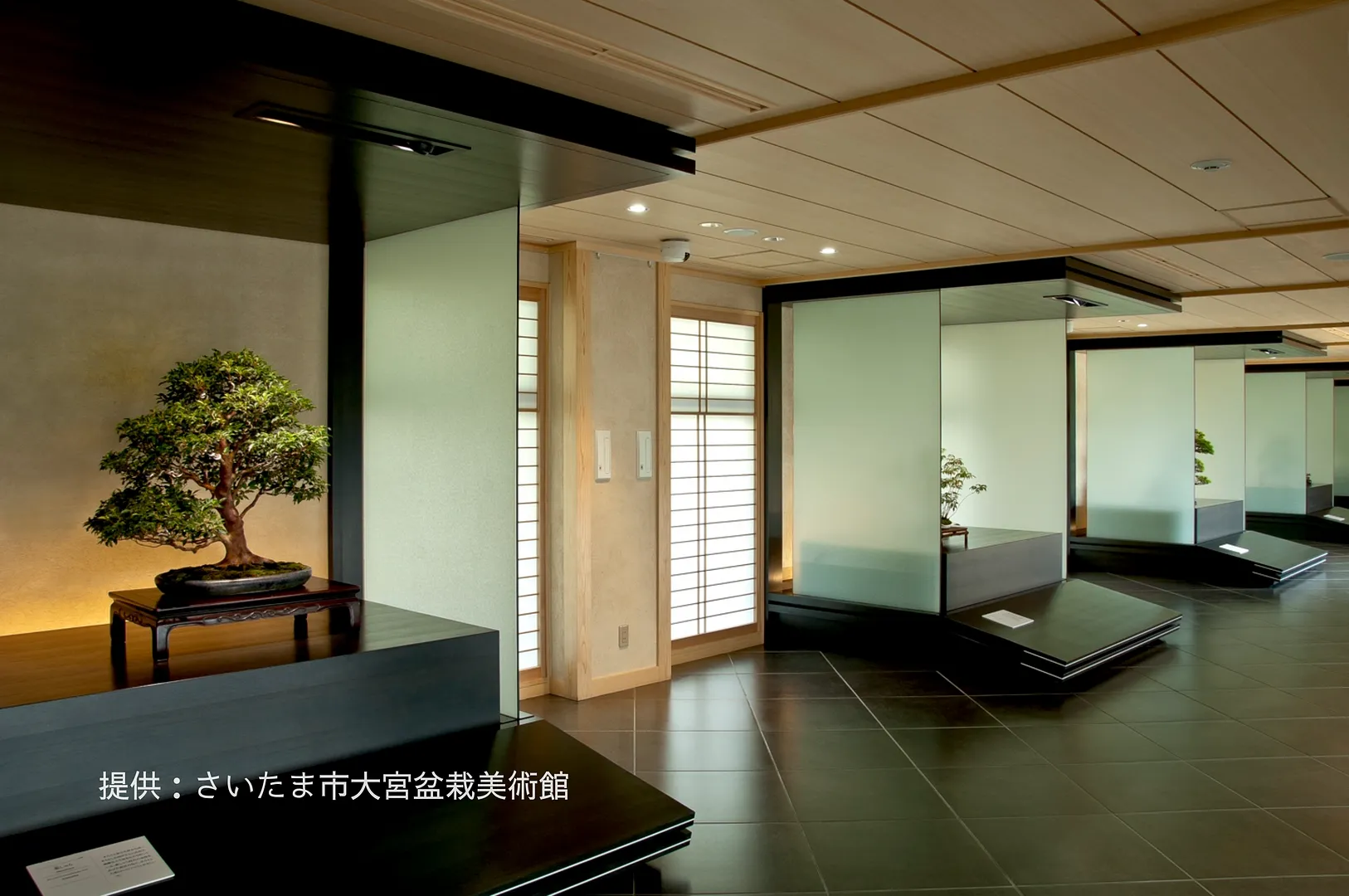 omiyabonsaiartmuseum_6.png