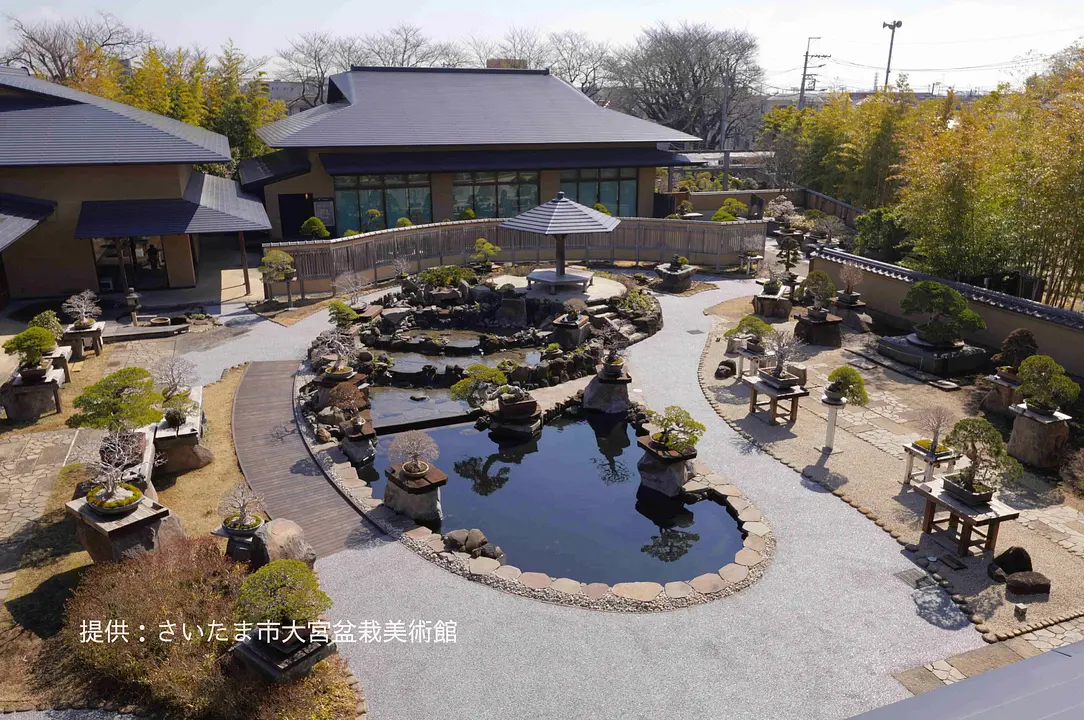 omiyabonsaiartmuseum_1_1.jpeg