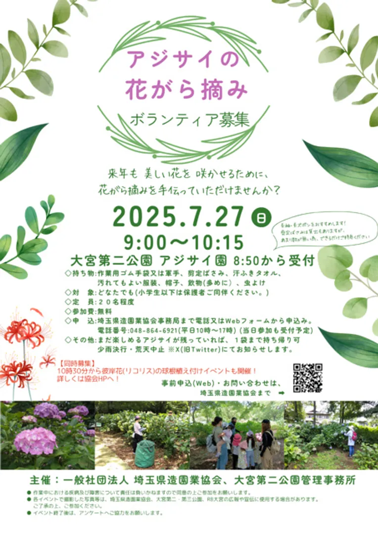 大宮第二公園 アジサイの花がら摘み