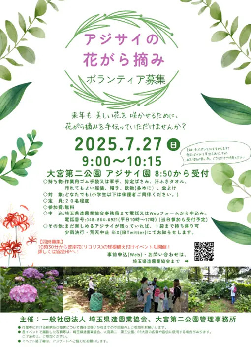 大宮第二公園　アジサイの花がら摘み