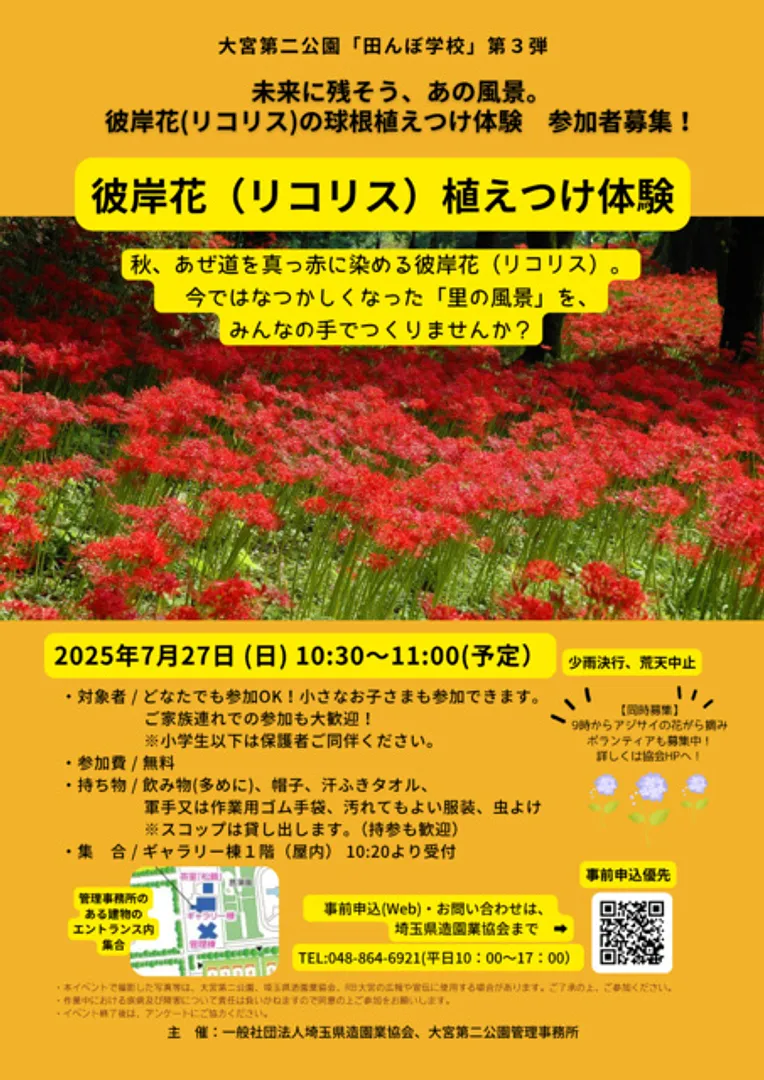 大宮第二公園　彼岸花（リコリス）植え付け体験