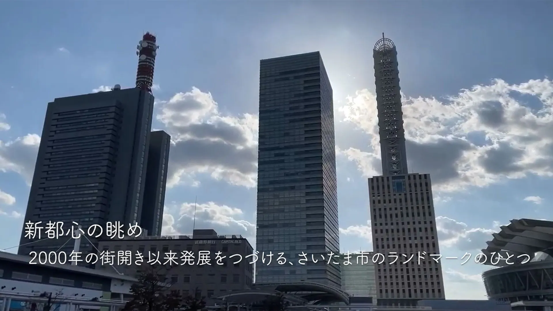 sintoshin-biru.jpg