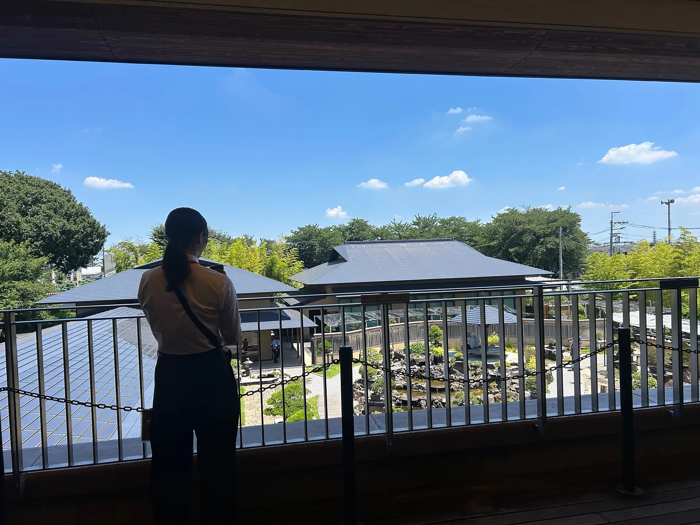 IMG_5513.jpeg