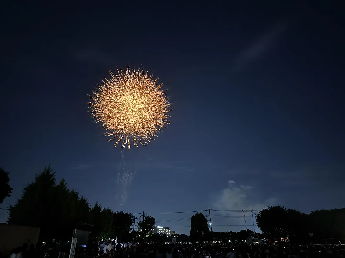 大和田公園会場花火