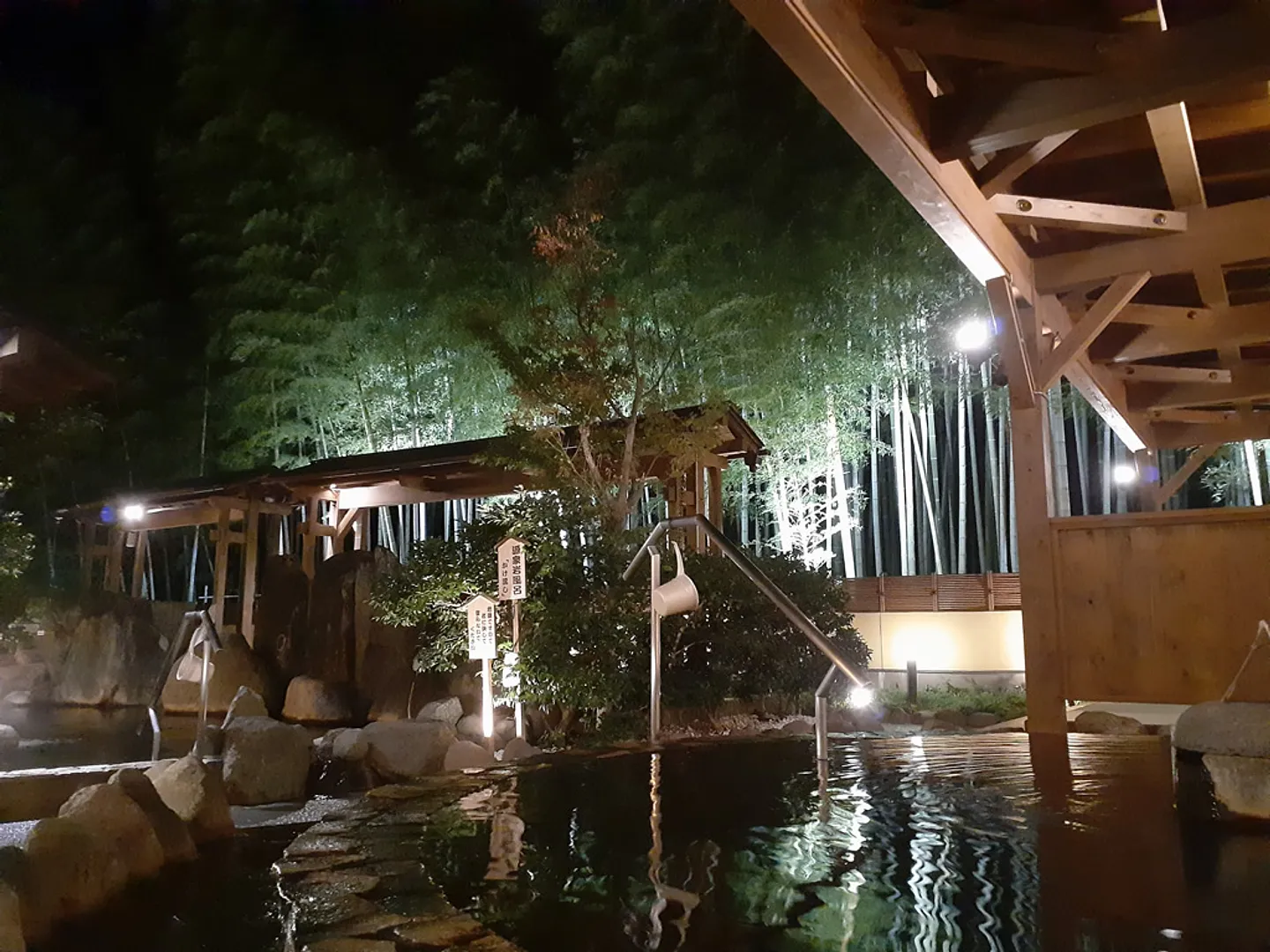 さいたま清河寺温泉2