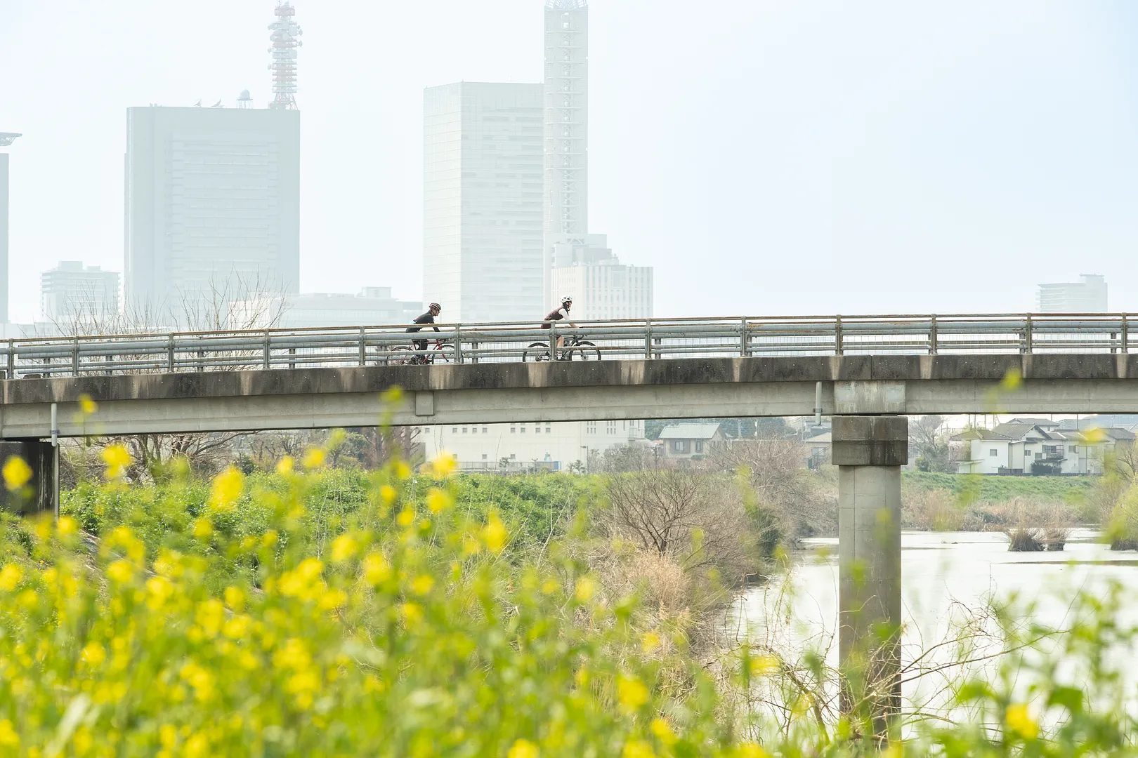 芝川上の橋をサイクリング