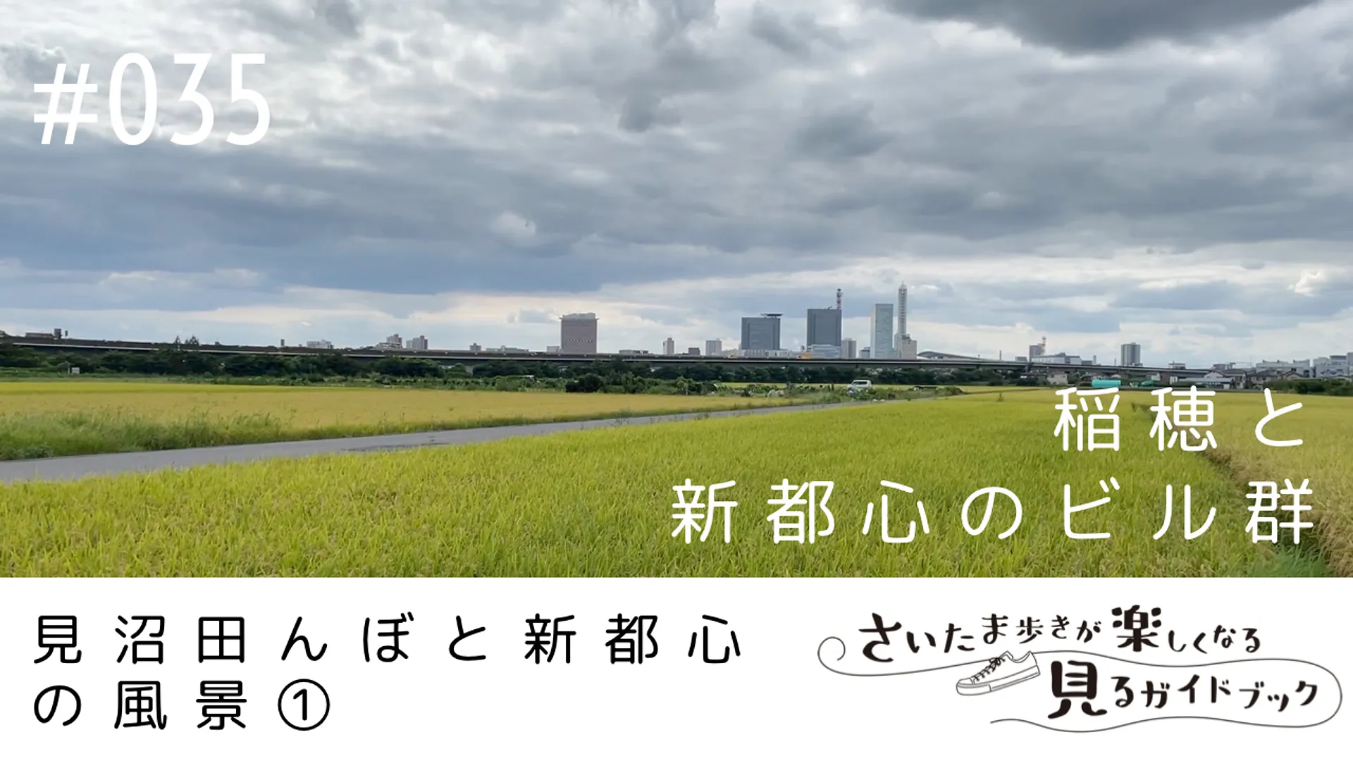 035.PNG
